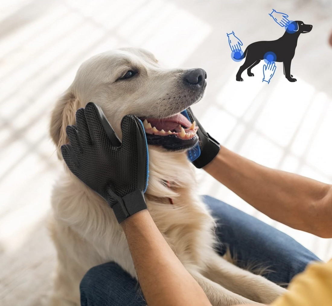 SilikonHandschuhe, Tierpflege, Haustierpflege, Haarentfernung, Pflegeleicht, Tierliebe